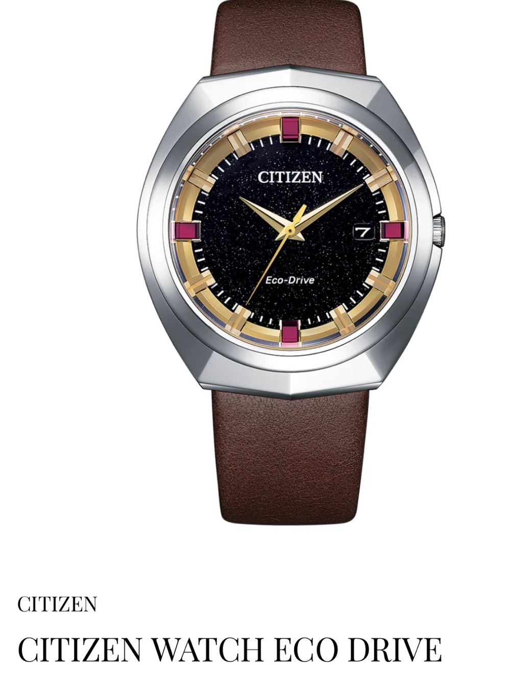 Citizen Black Dial Watch with Brown Leather Strap and Gold Accents